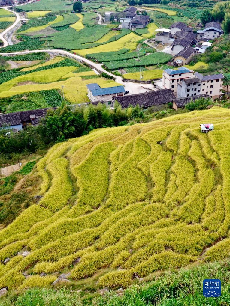 打鱼机吐分前兆